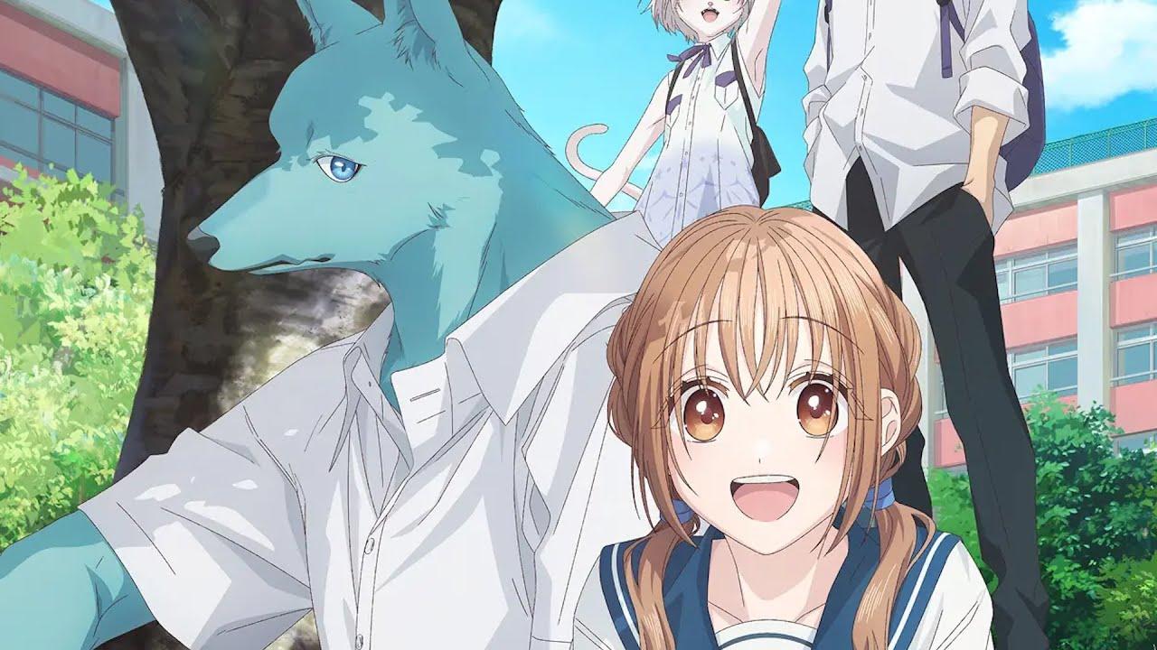 انمي Kimi to Koete Koi ni Naru مترجم